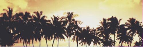 itsmeatheena's profile banner image