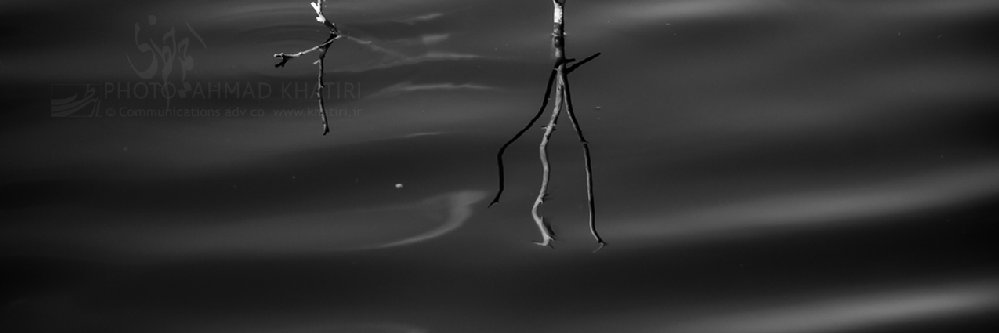 Ahmad Khatiri banner