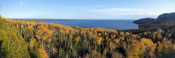 cpsievert Profile Banner