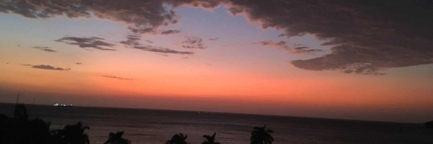 cervetarianac's profile banner image