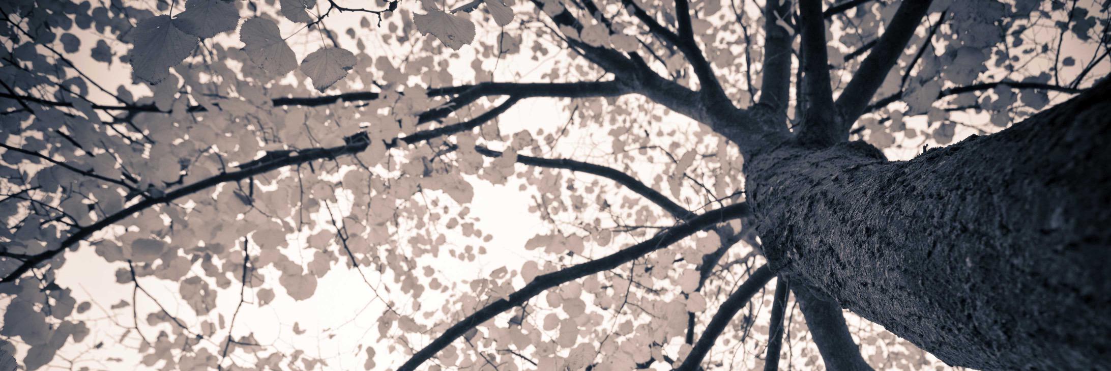 _HappyMelon's profile banner image