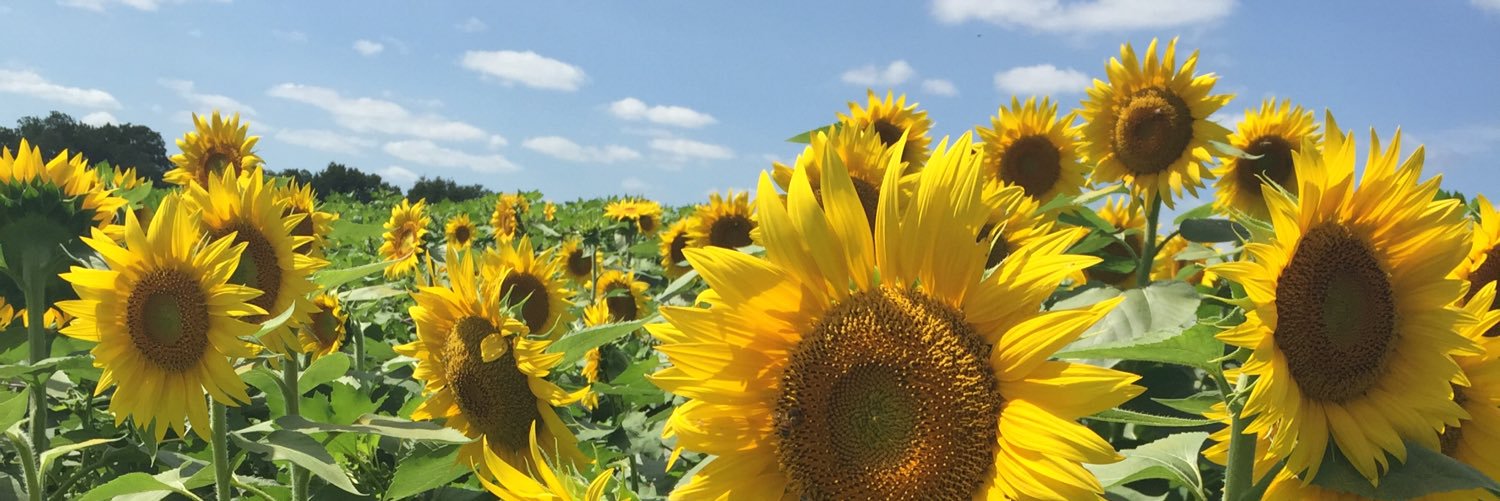 jessie4604's profile banner image