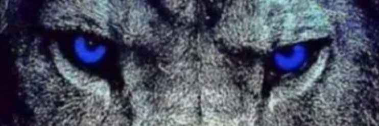 jjbro47's profile banner image