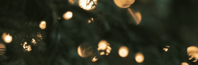 SadieTumbleson's profile banner image
