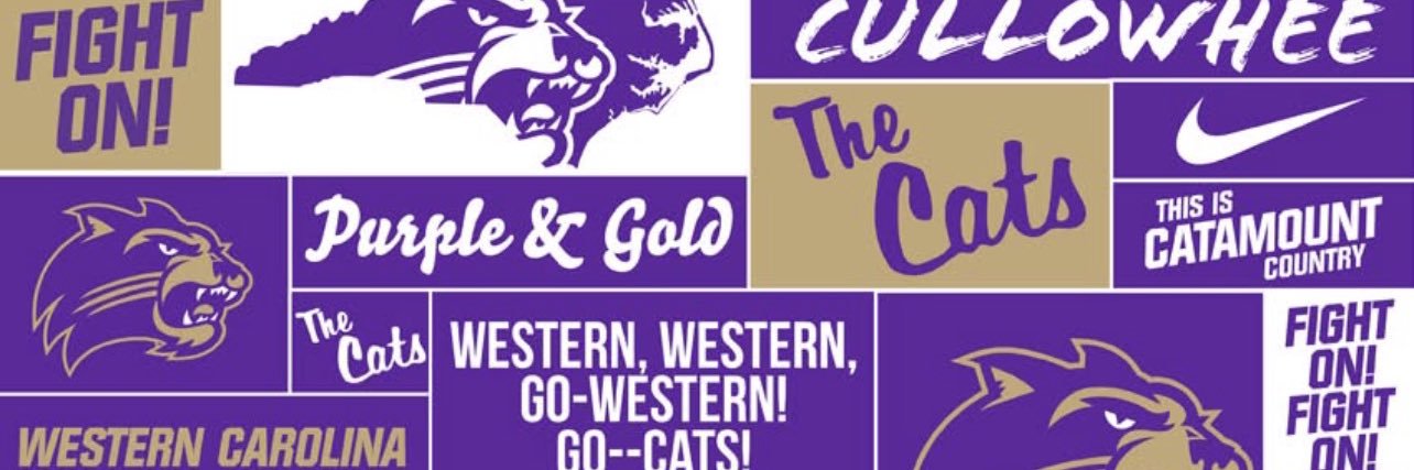 StewDadOfTwo🏈 banner