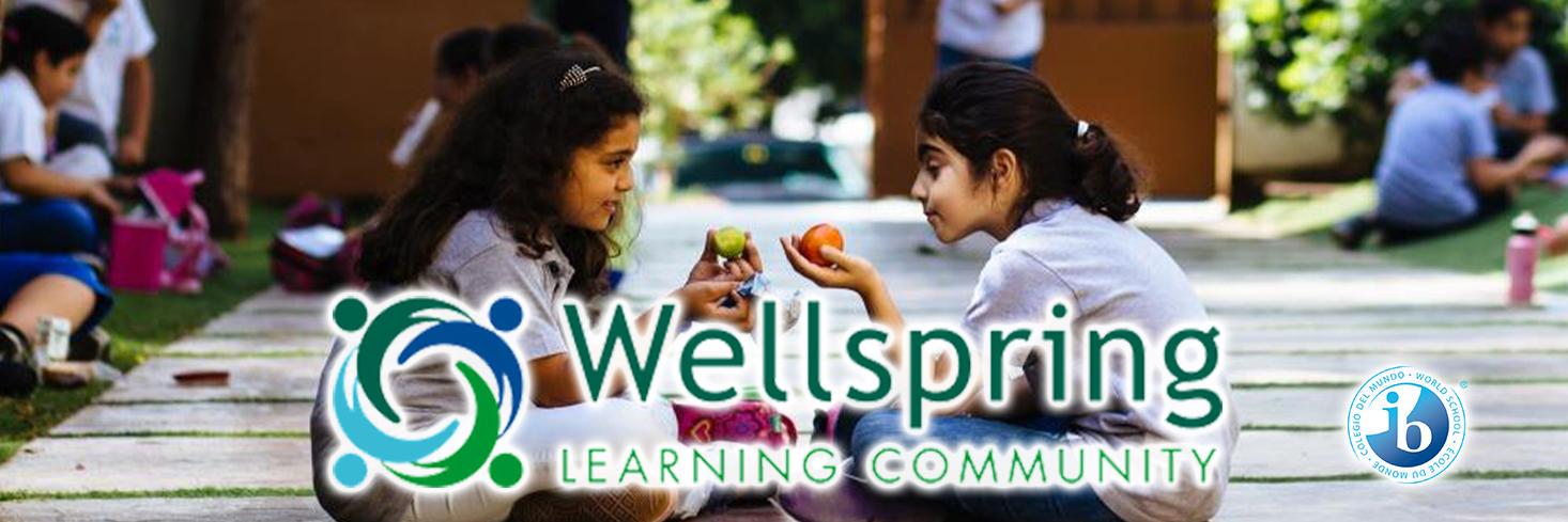 Wellspring LC banner