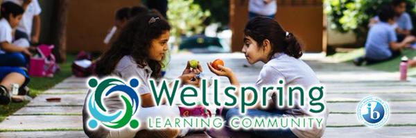 LC_Wellspring Profile Banner
