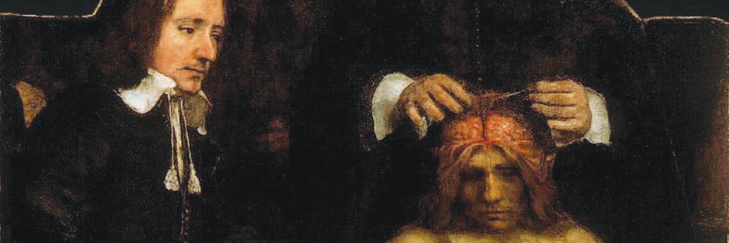 Arteria Carotis banner