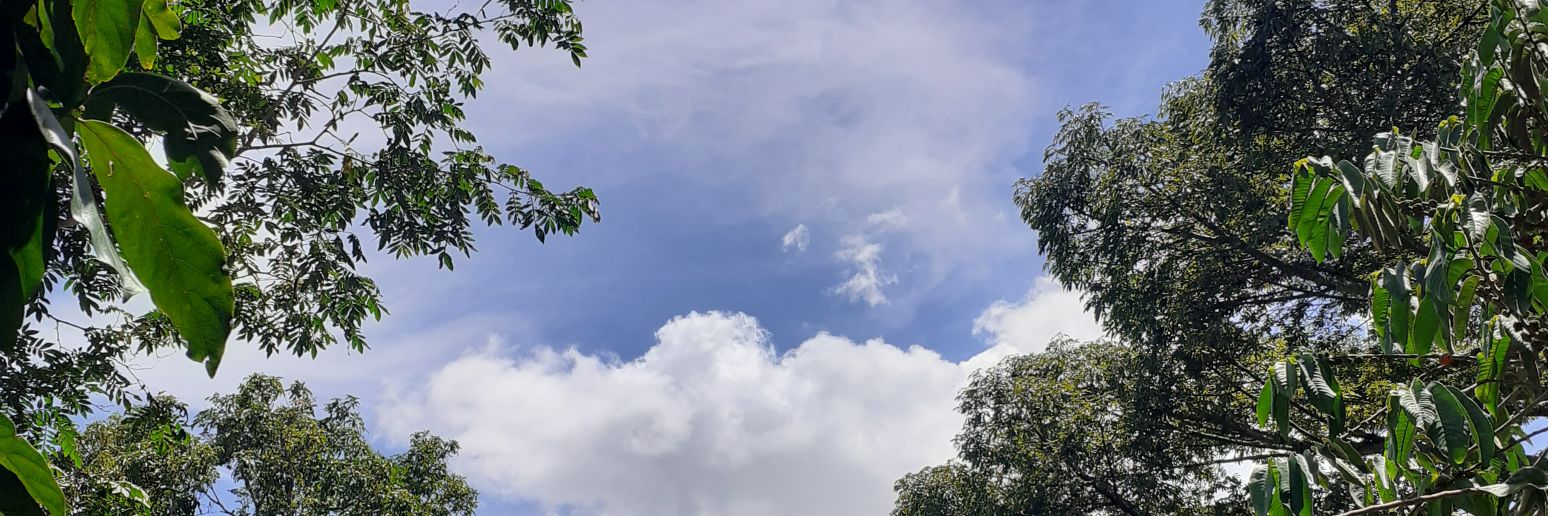 LetiGiron's profile banner image