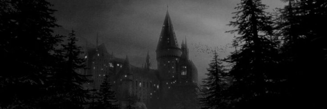 nightinglaes's profile banner image