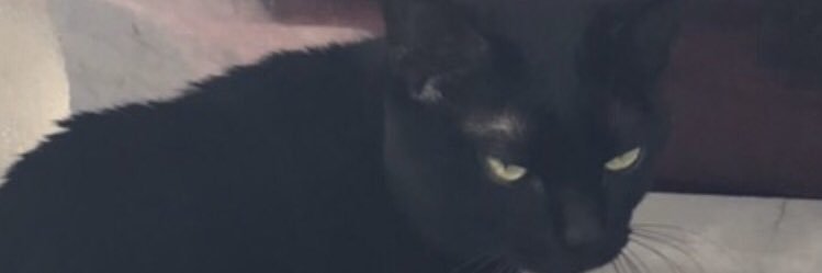 mtidmtpa's profile banner image