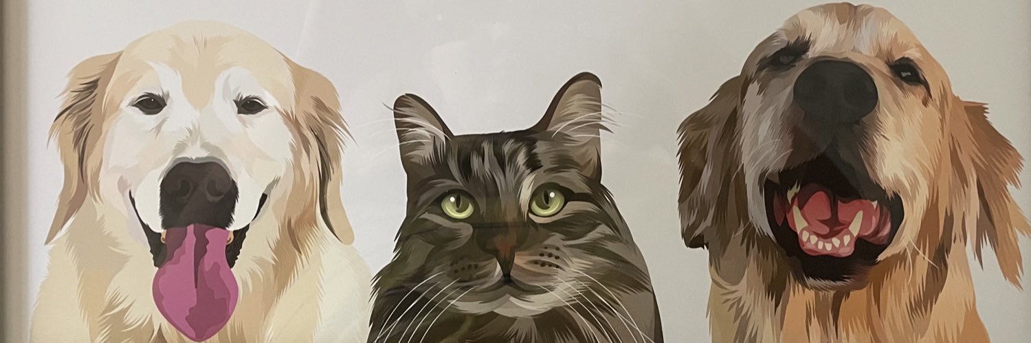 AshleyRoldan_'s profile banner image