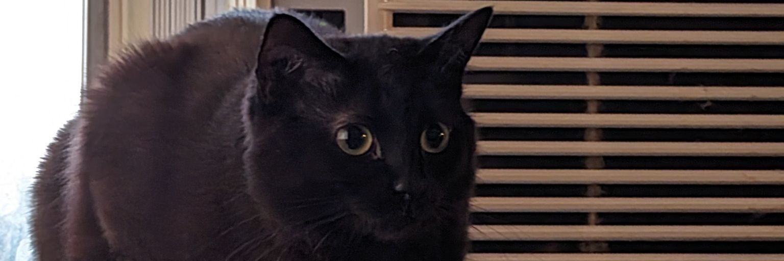 ubster41's profile banner image