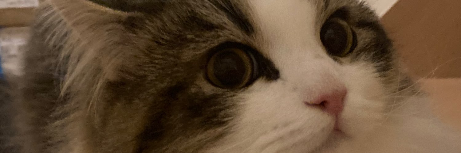 ひろちん⭐︎プチ減量平日だけ禁酒4月末。 banner