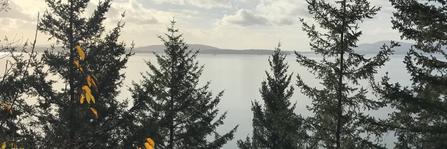 asethh's profile banner image