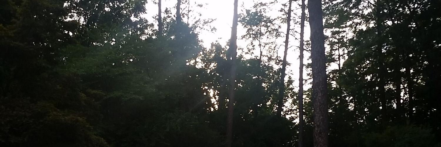 KaiReed1's profile banner image