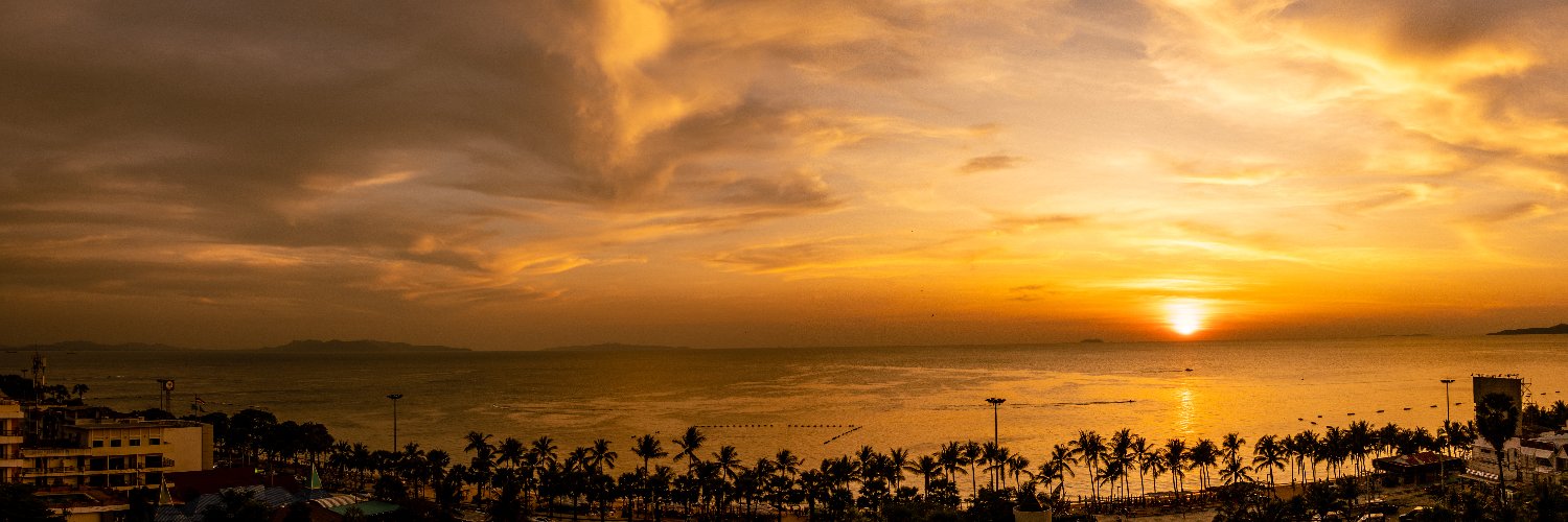 Beeronabeach's profile banner image