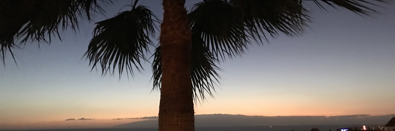 wellcutt's profile banner image