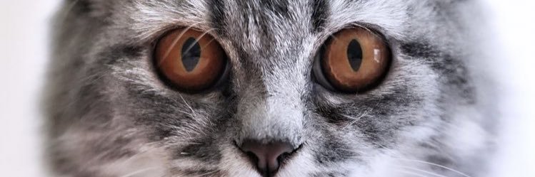 arbzed's profile banner image