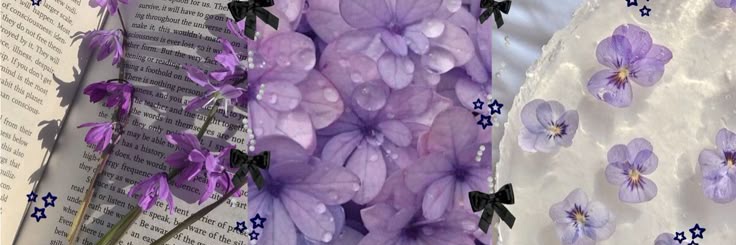 𝐴͟𝑢͟𝑟͟𝑎͟.͟ banner