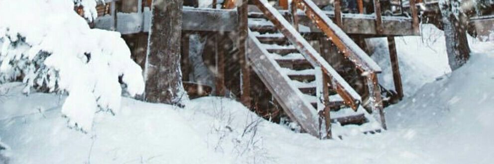 ® banner