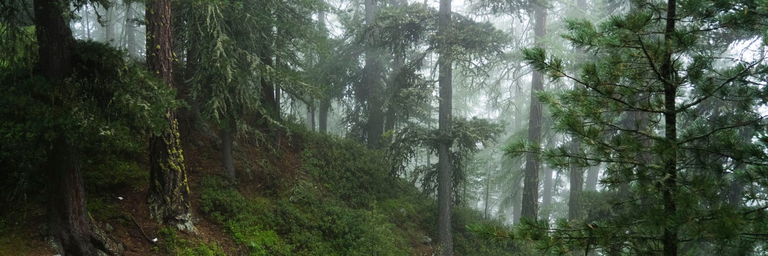 Duncan Philpott banner