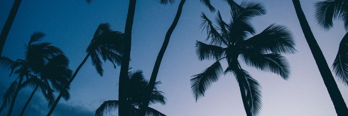 maegosh's profile banner image