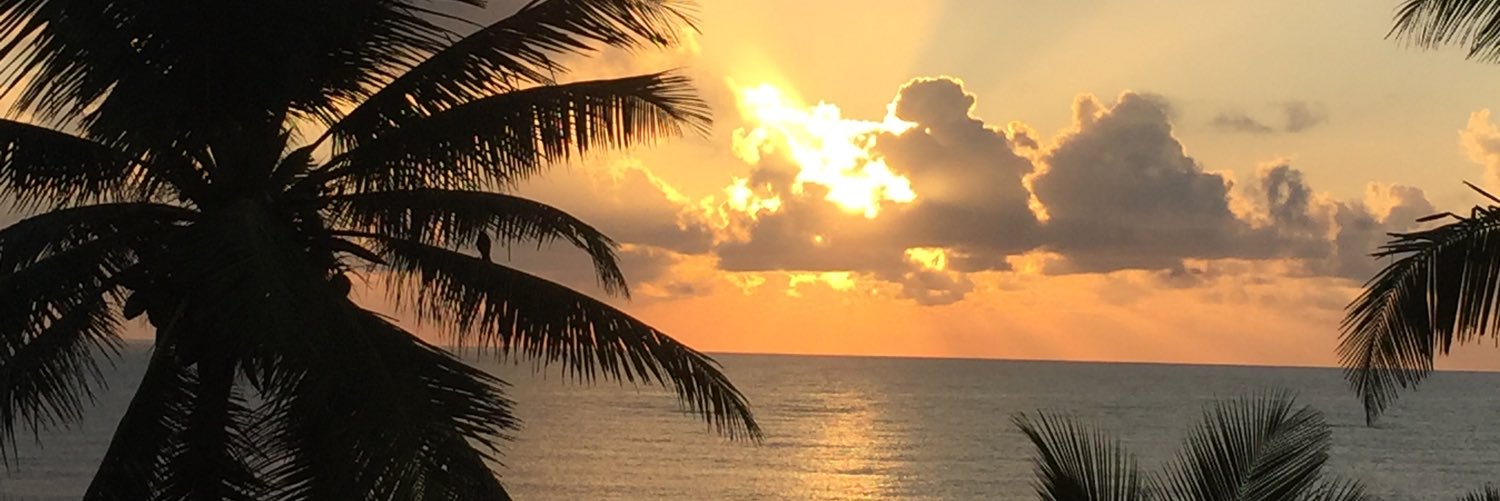LCVYoung's profile banner image