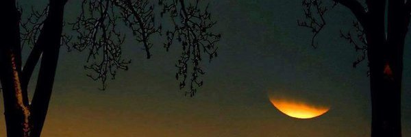albj20's profile banner image