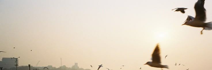 PookieCreame's profile banner image