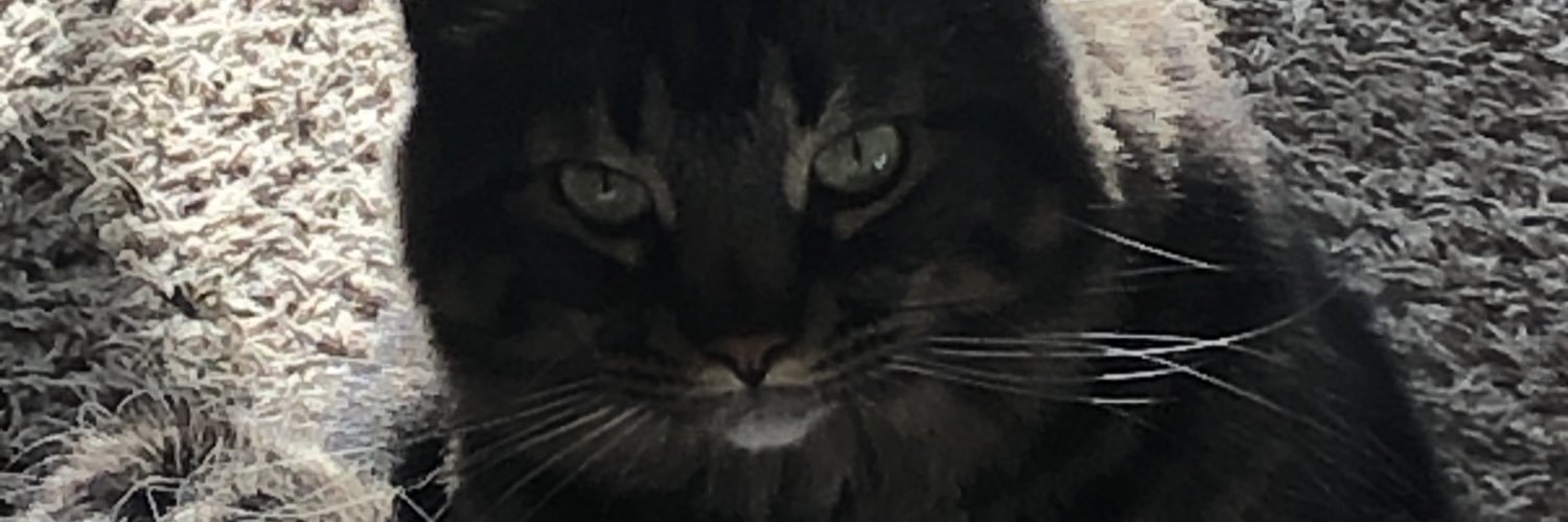 leeta6969's profile banner image