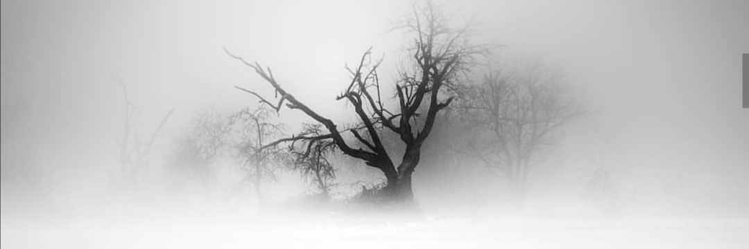 Tess_mlgn's profile banner image
