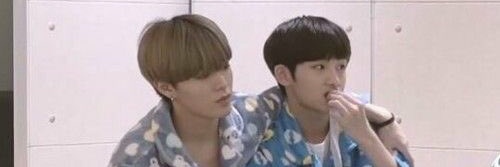 Septz🐈อยากนอน banner