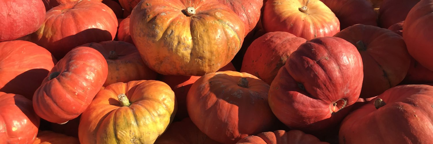 Amy K. Rhody 🇺🇸 banner