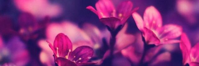 ItsGabyJ's profile banner image