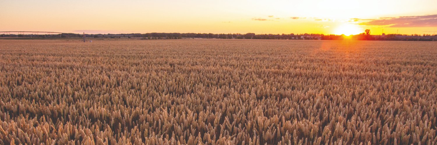 AgropalSC's profile banner image