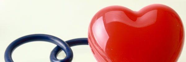 Red Deer PetFirstAid banner