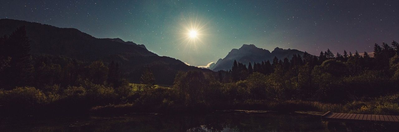 Nick Fad🇺🇸 banner