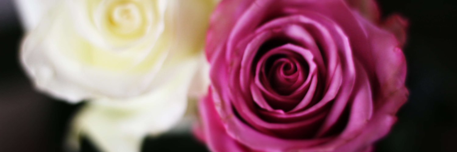 carld08's profile banner image