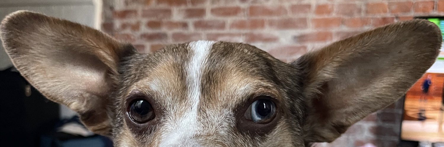 InTheHaase's profile banner image