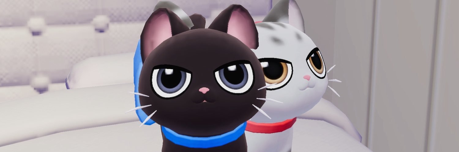 ねこしゃん 🐾 banner