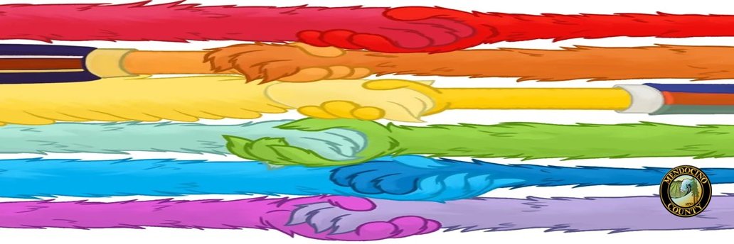 MendoLibrary's profile banner image