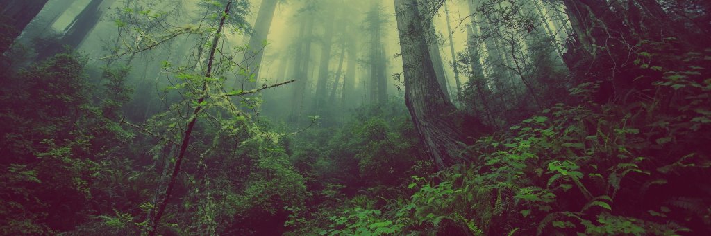 WilliamBriar's profile banner image