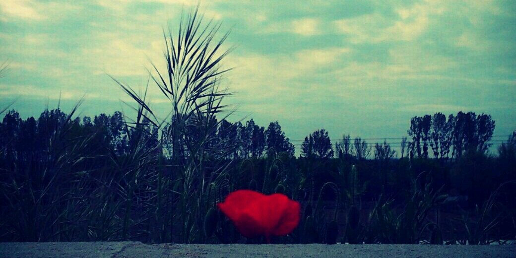 Maria_Caceres's profile banner image