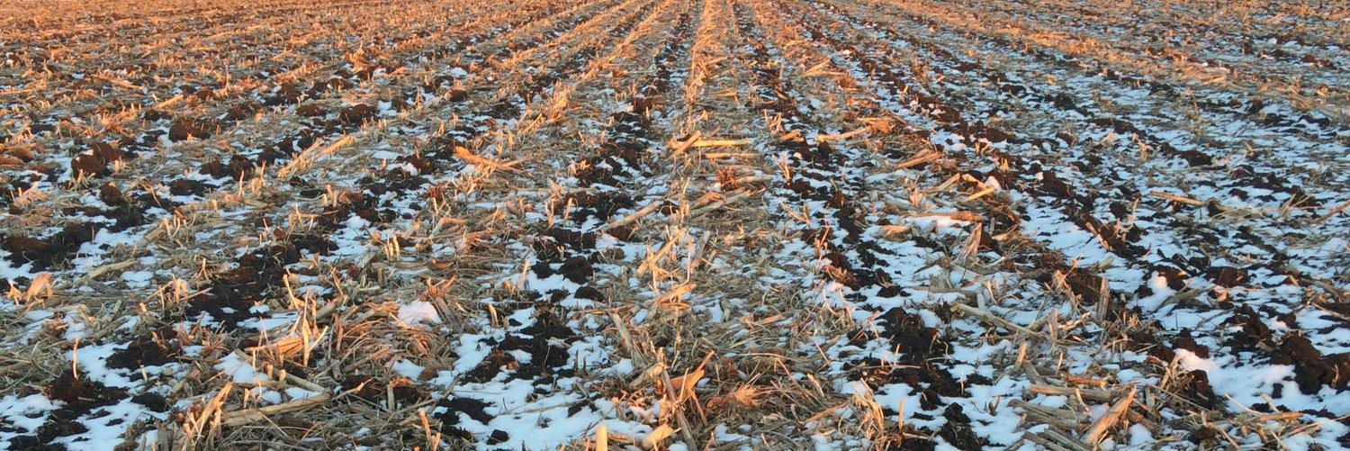 IAFarmLife's profile banner image