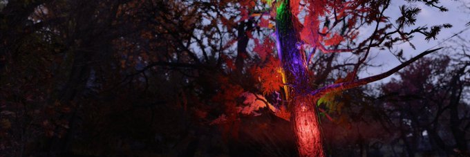 NurseQuantum's profile banner image