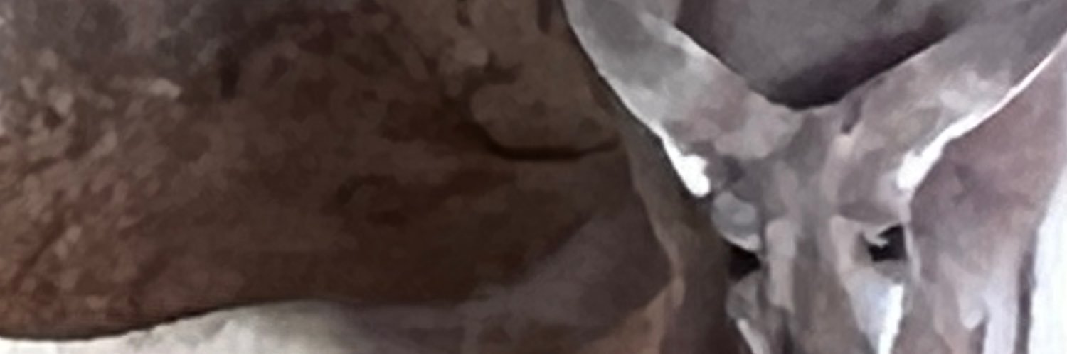 pauldy43's profile banner image