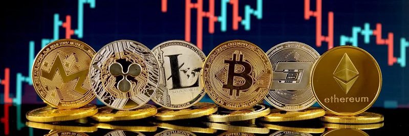 CriptoBeginner's profile banner image