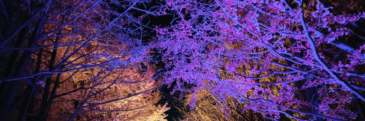 諦めない人ほらぴょん banner