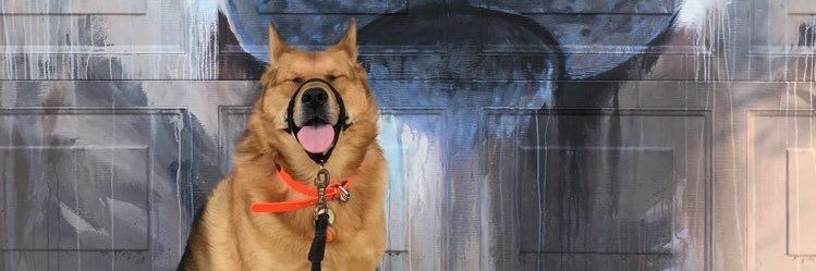 AlanaBananaCo🍌 banner